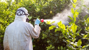 Exterminator spraying for bugs